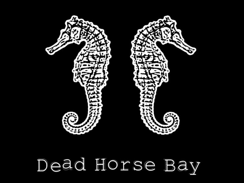 Dead Horse Bay